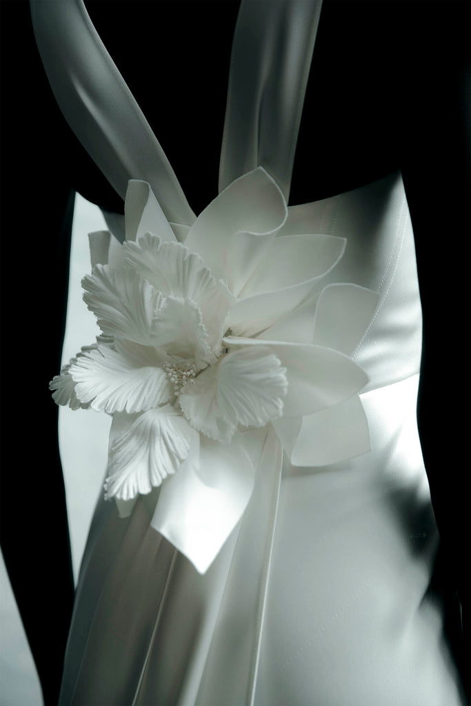 Product Aoki Image