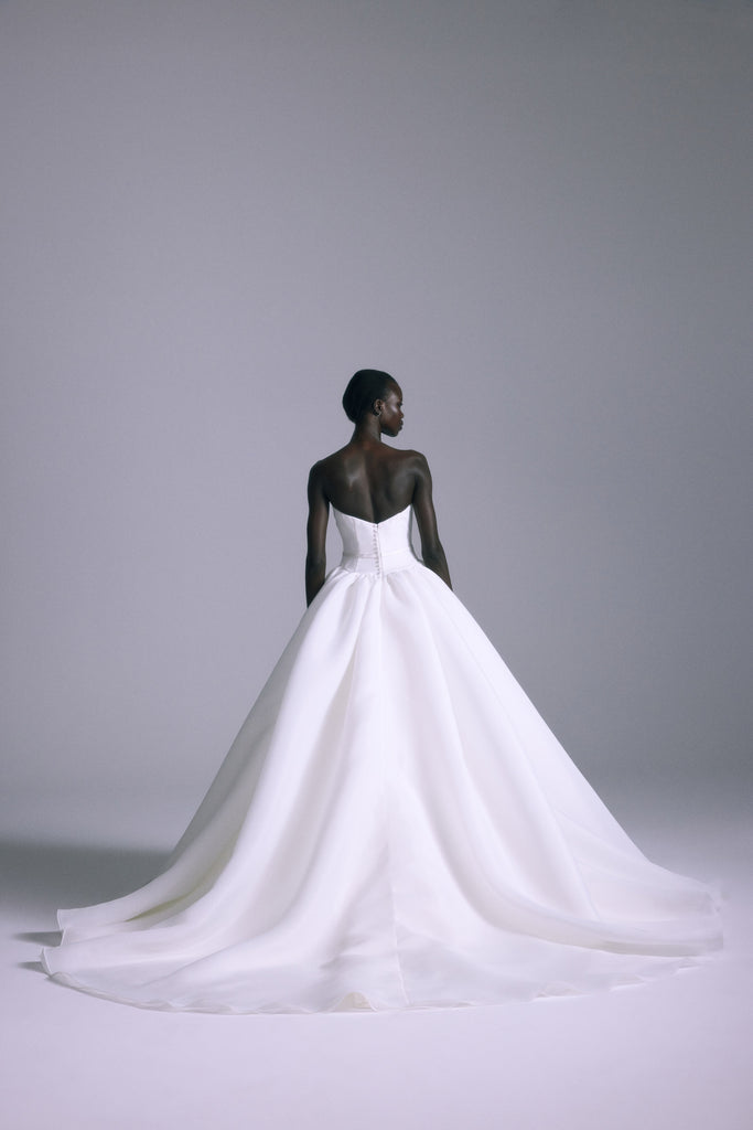 Product Camelia Image