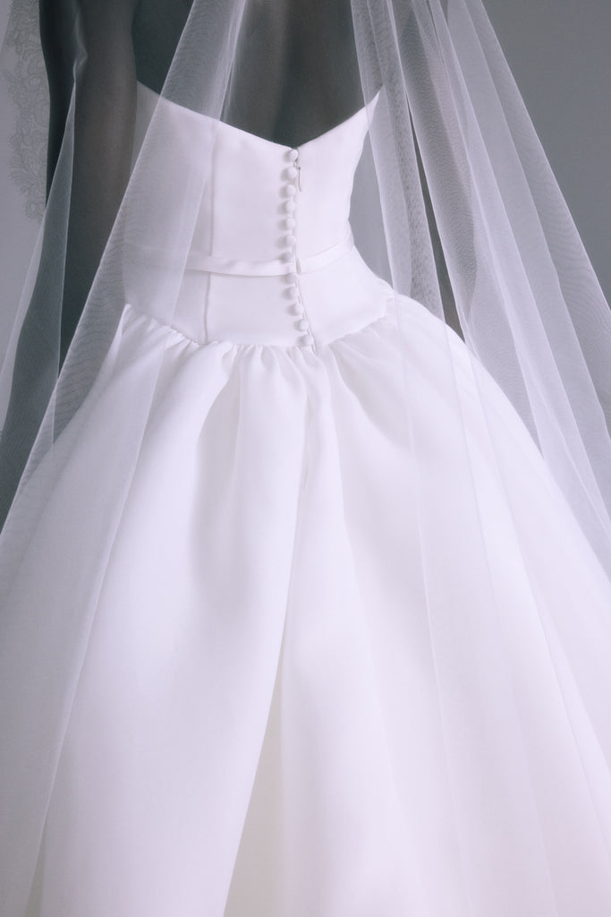Product Camelia Image