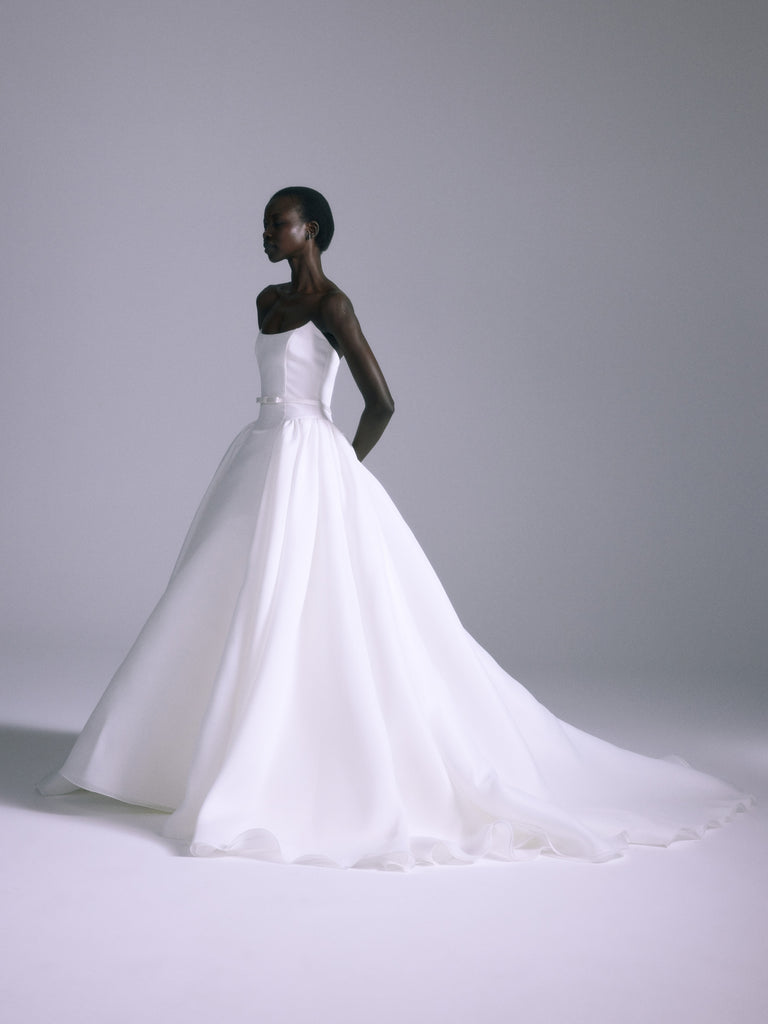 Product Camelia Image