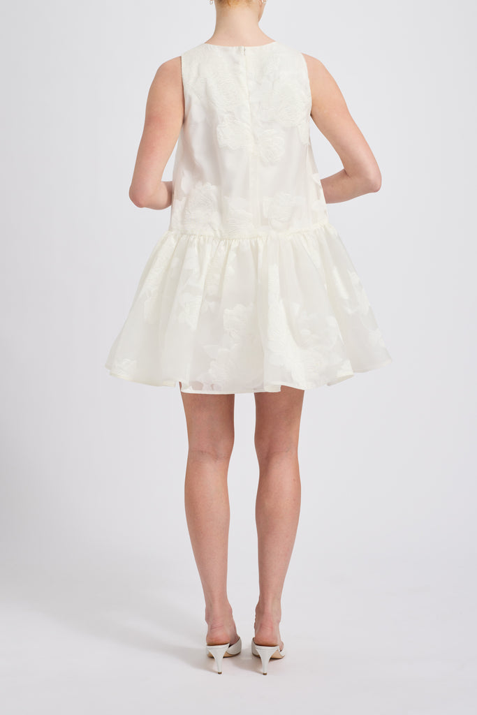 Product Rose Fil Coupé Mini Dress Image