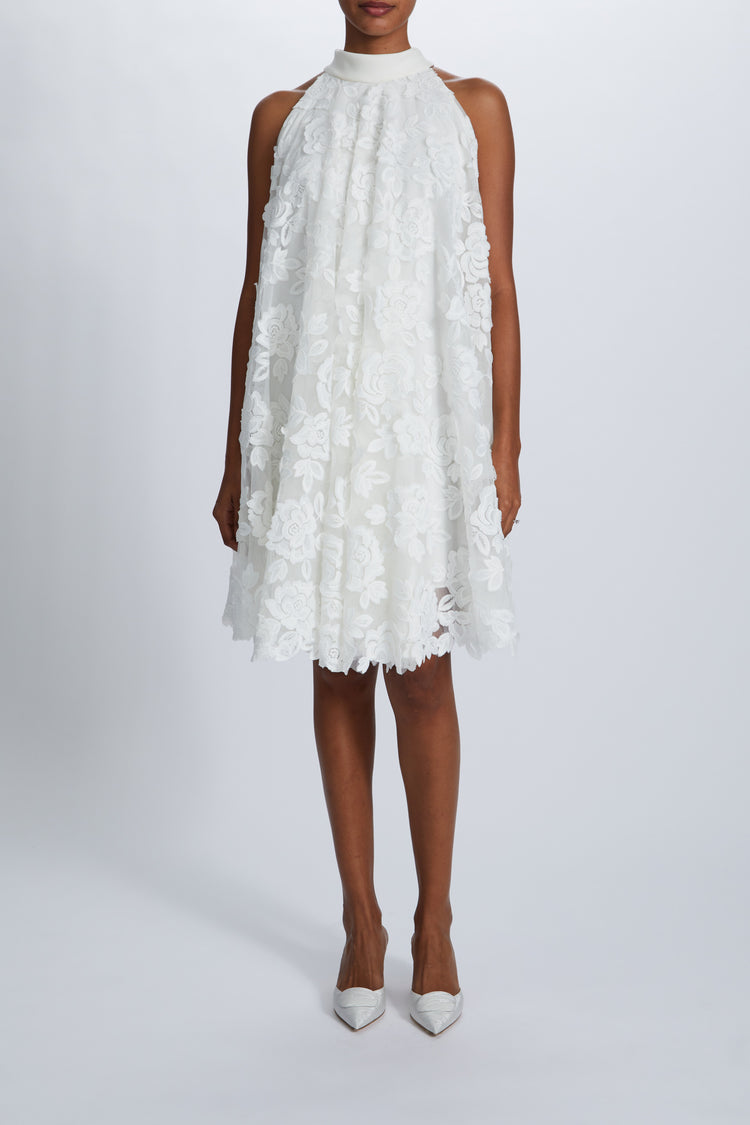 Image number 0: Guipure Lace Trapeze Dress, front view