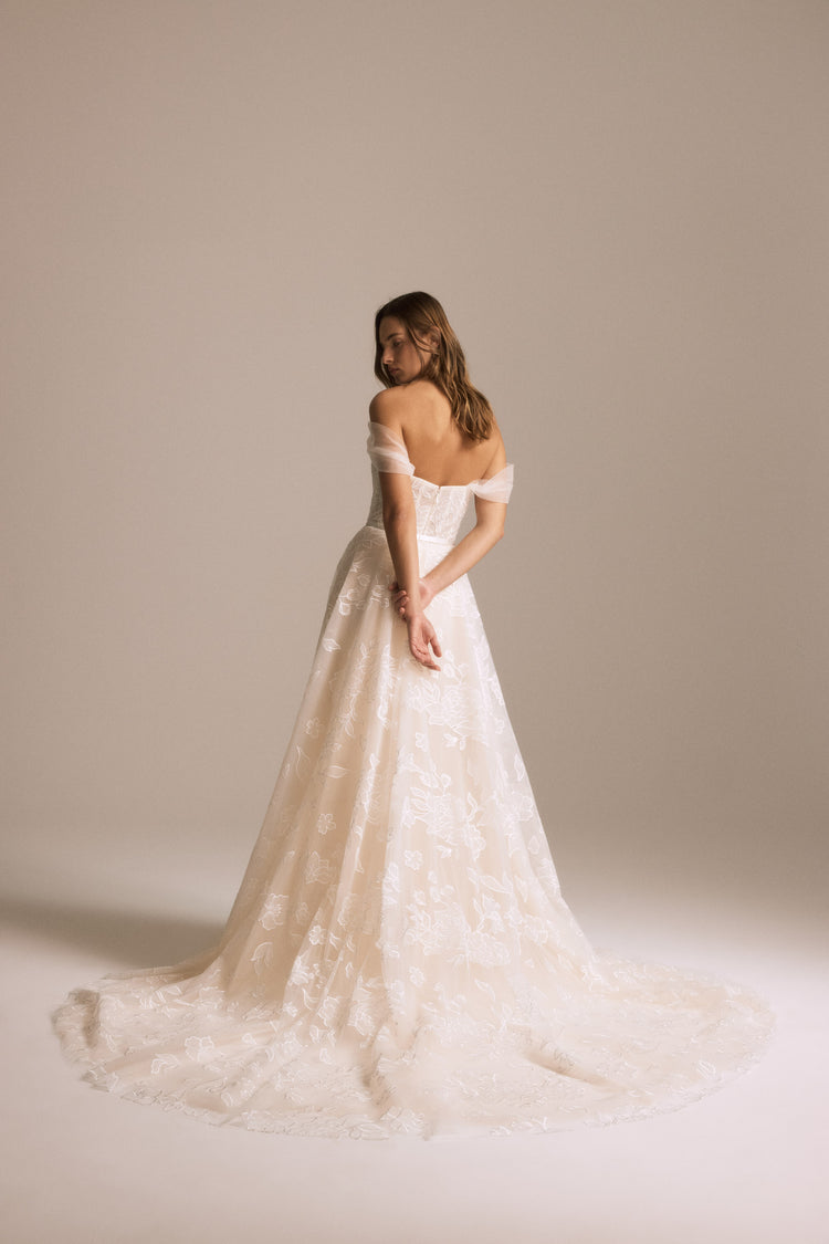 Image number 5: Calypso, back view