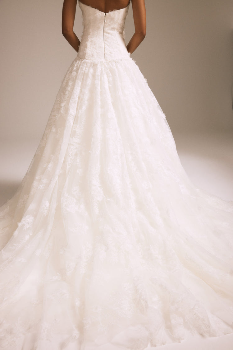 Image number 4: Marigold, view 5