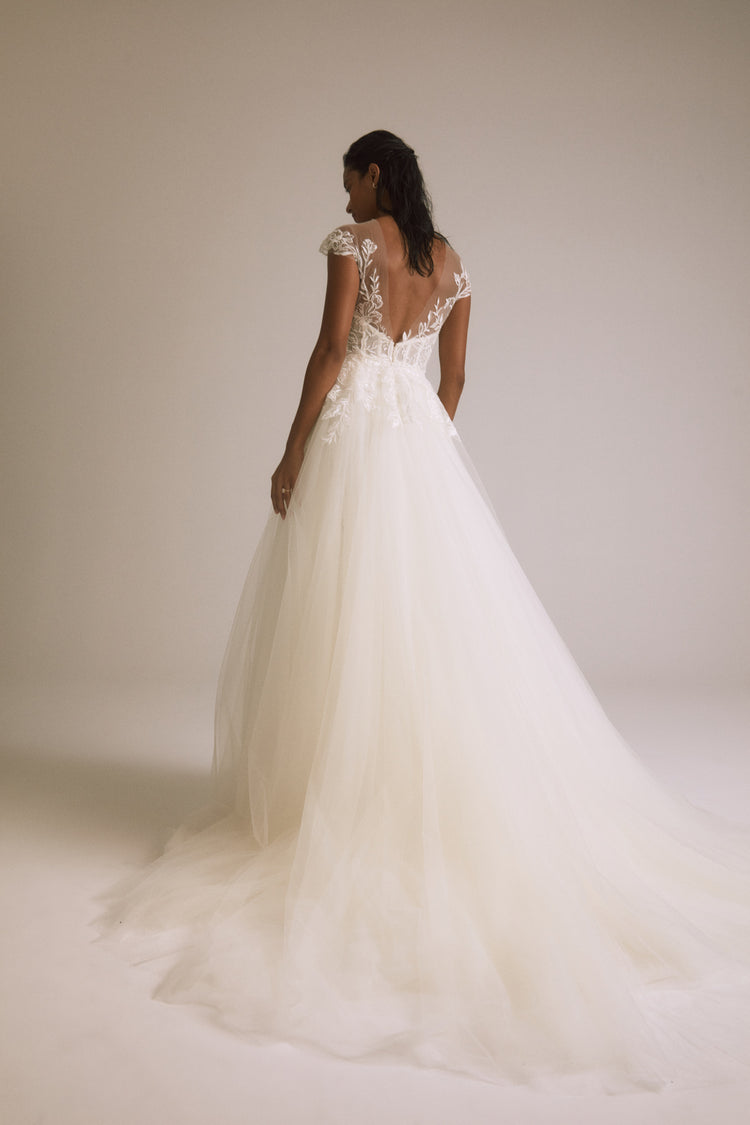 Image number 3: Pasha, back view
