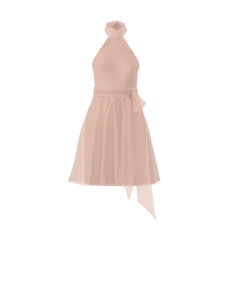 Bodice(Sophia), Skirt(Carla),Belt(Sash), blush, combo from Collection Bridesmaids by Amsale x You