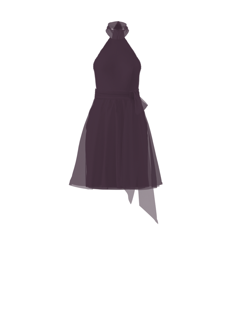 Bodice(Sophia), Skirt(Carla),Belt(Sash), plum, combo from Collection Bridesmaids by Amsale x You