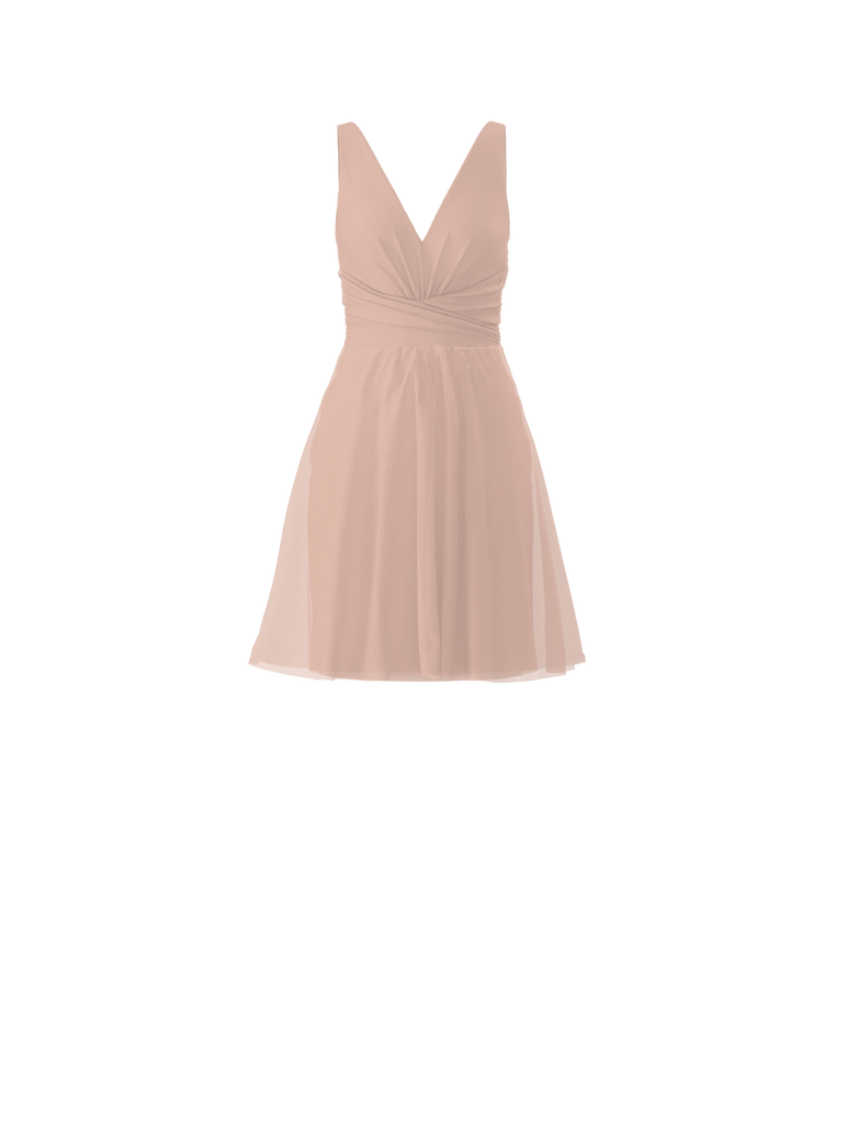 Product Bodice(Justine), Skirt(Carla), blush Image