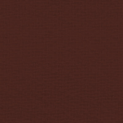 Swatch of color Raisin