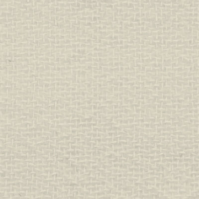 Swatch of color Champagne